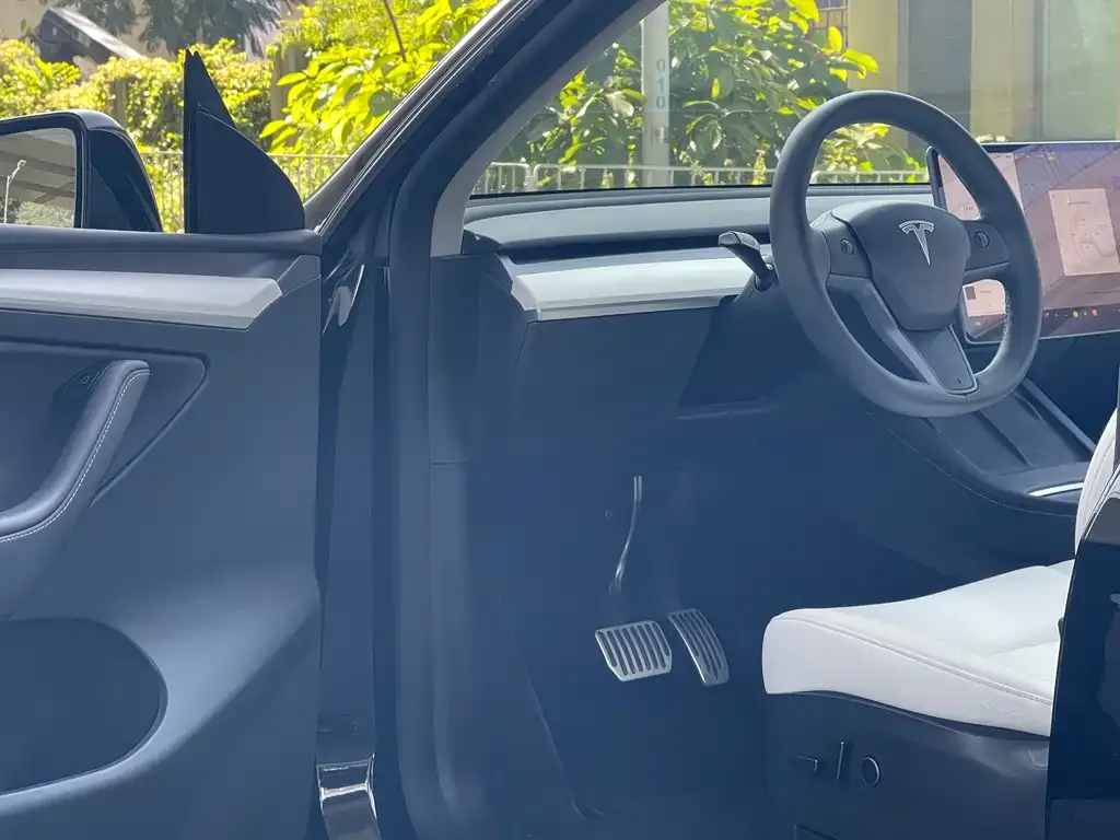 Tesla Model Y 2022 из CN, фото 9