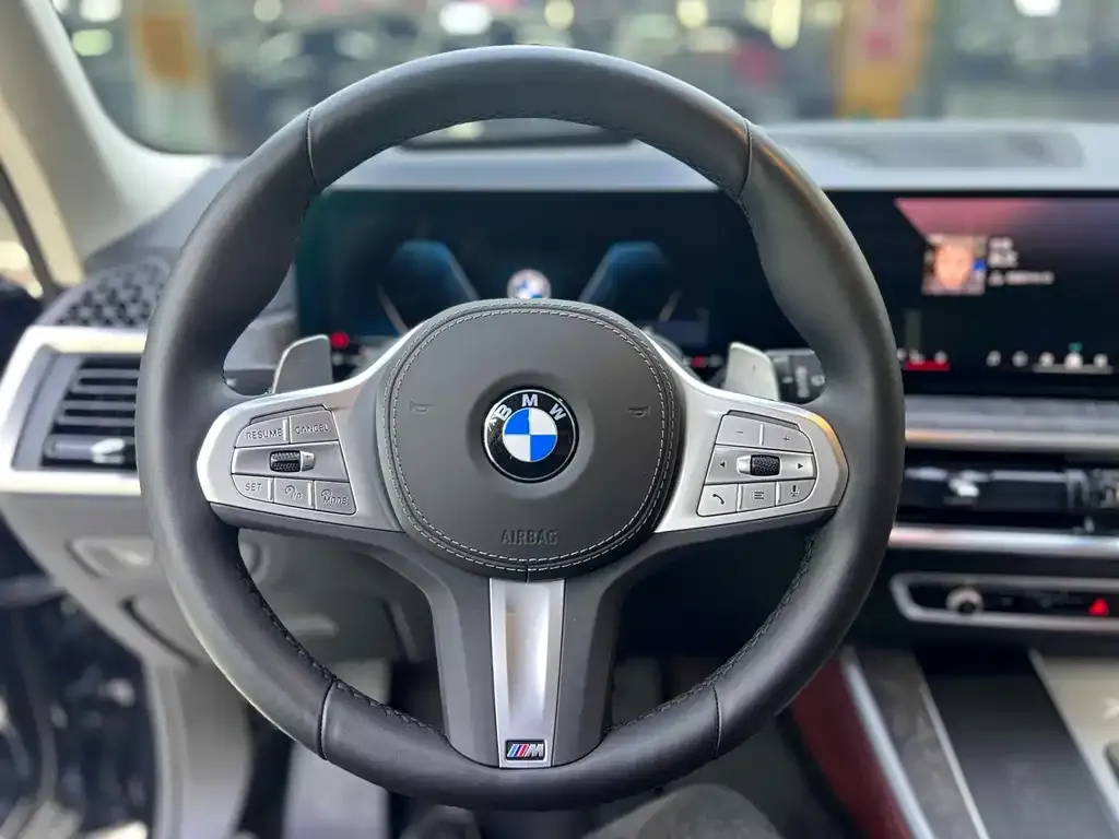 BMW X5 2025 из CN, фото 6