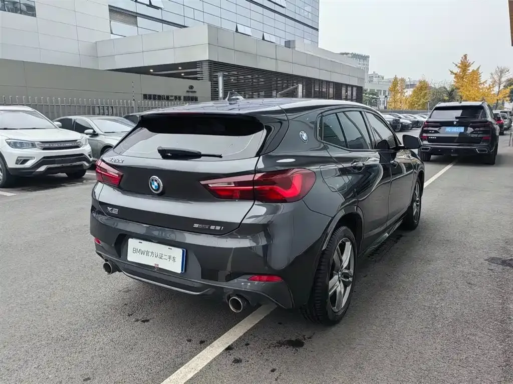 BMW X2 2022 из CN, фото 4