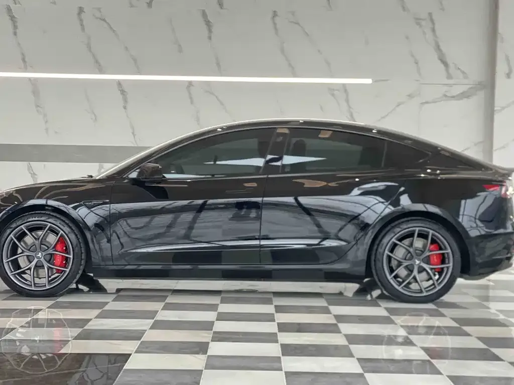 Tesla Model 3 2023 из CN, фото 2