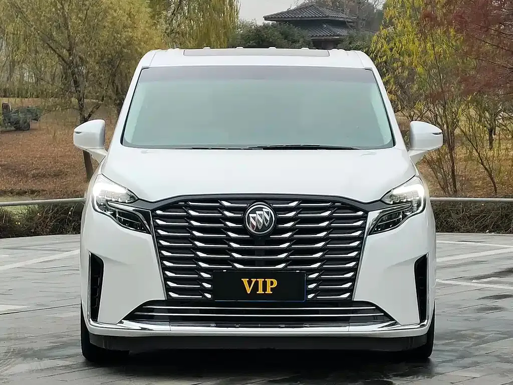 Buick GL8 2023 из CN, фото 10