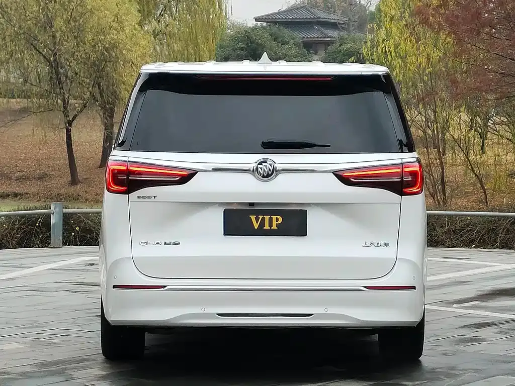 Buick GL8 2023 из CN, фото 9
