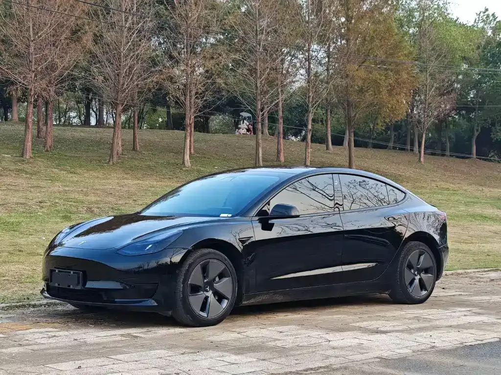 Tesla Model 3 2021 из CN, фото 1