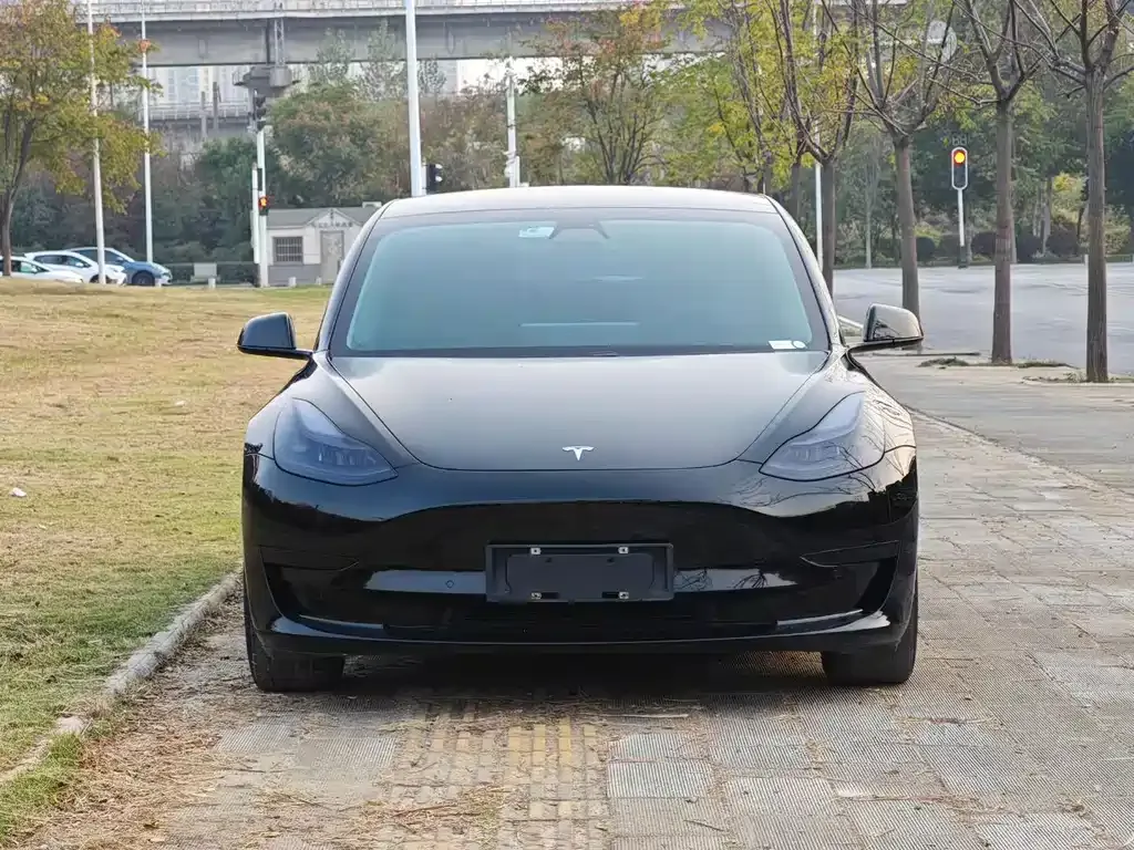 Tesla Model 3 2021 из CN, фото 9