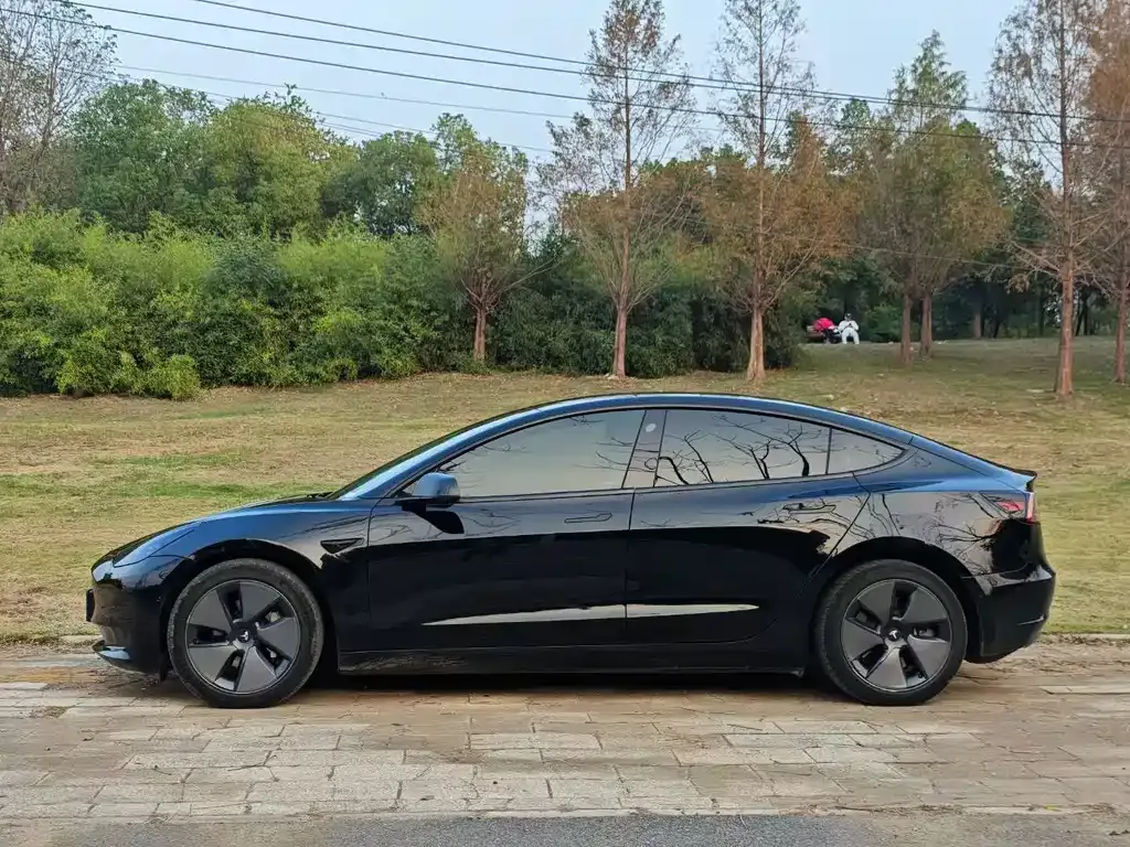 Tesla Model 3 2021 из CN, фото 8