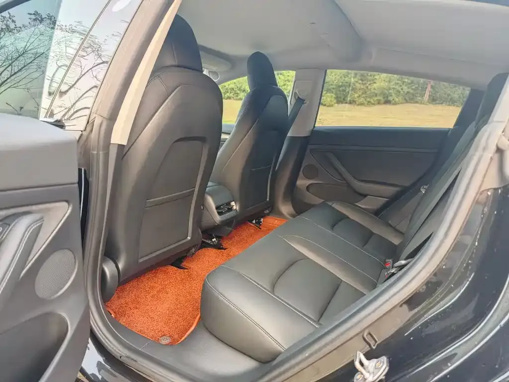 Tesla Model 3 2021 из CN, фото 4