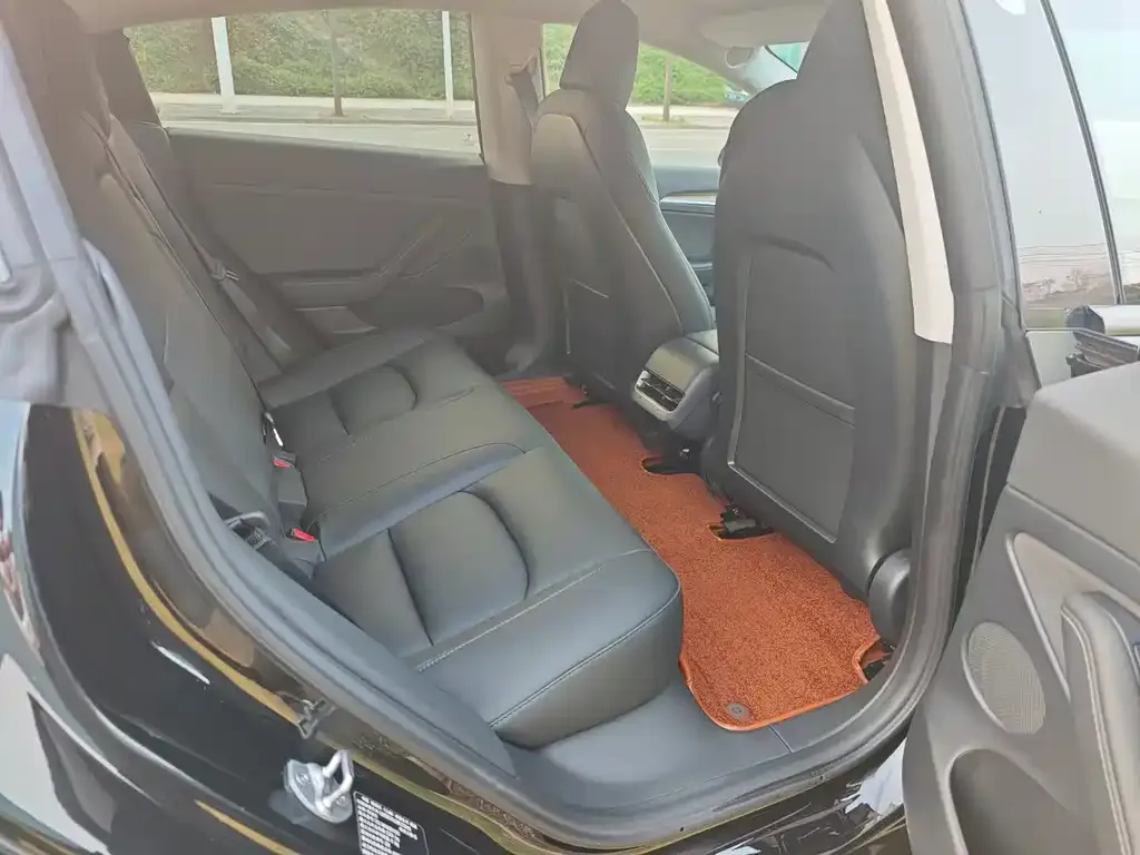 Tesla Model 3 2021 из CN, фото 2
