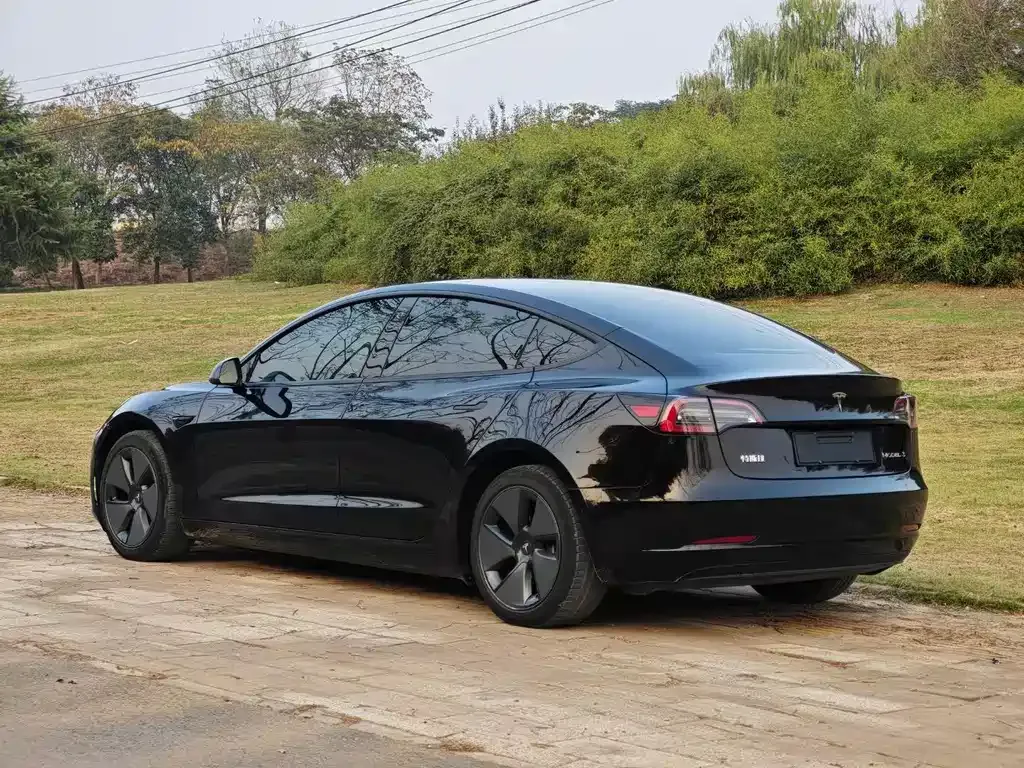 Tesla Model 3 2021 из CN, фото 6