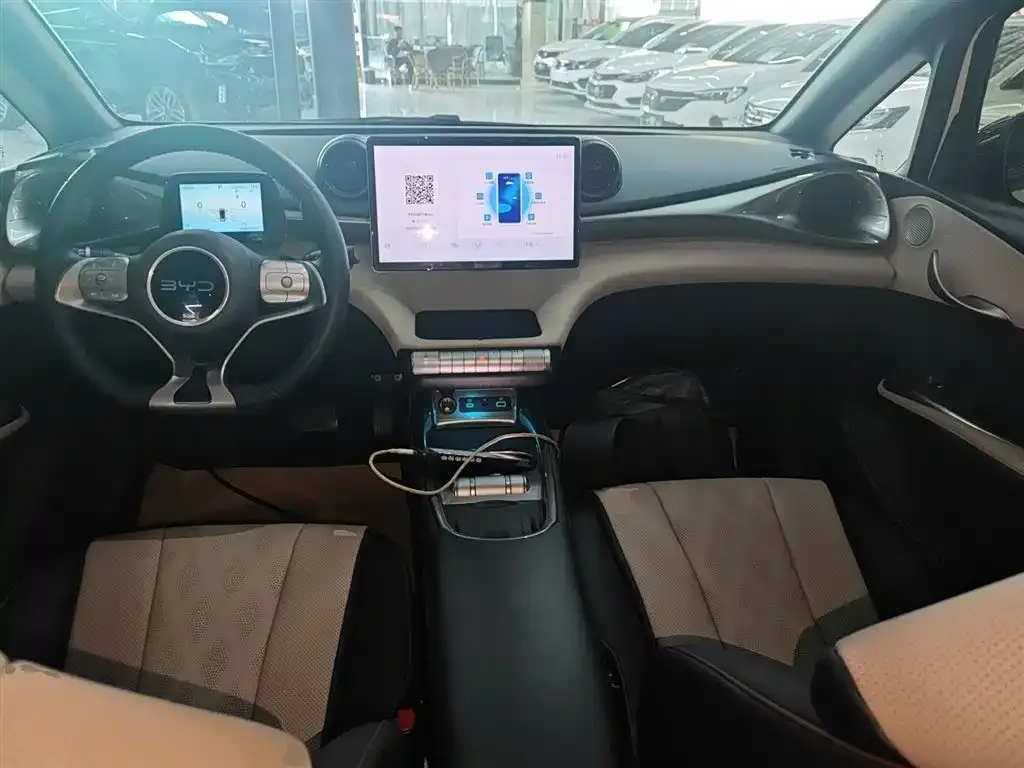 [object Object] Dolphin 2025 из CN, фото 10