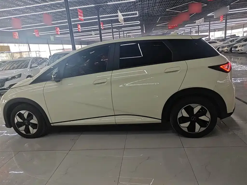 [object Object] Dolphin 2025 из CN, фото 5