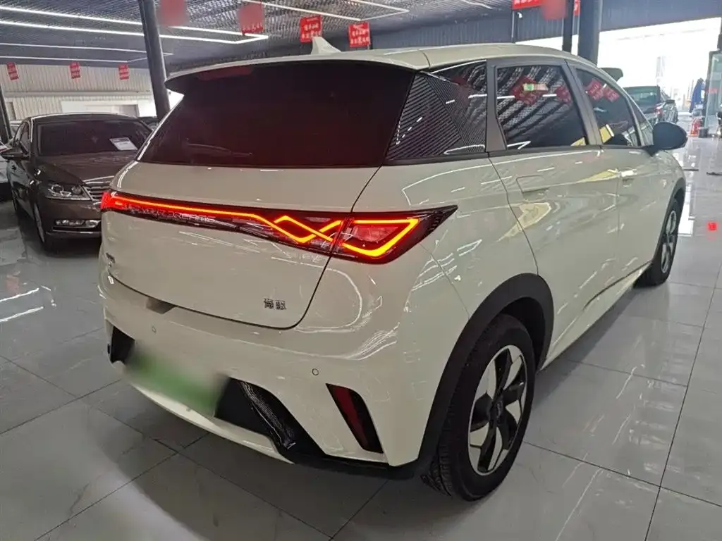 [object Object] Dolphin 2025 из CN, фото 7