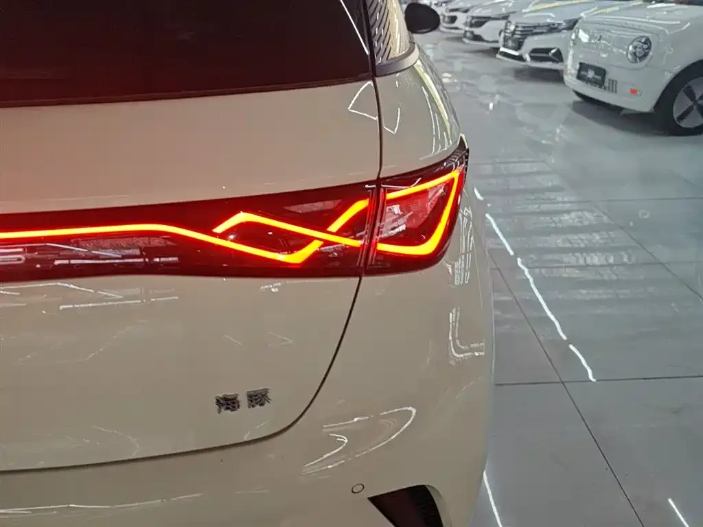 [object Object] Dolphin 2025 из CN, фото 8