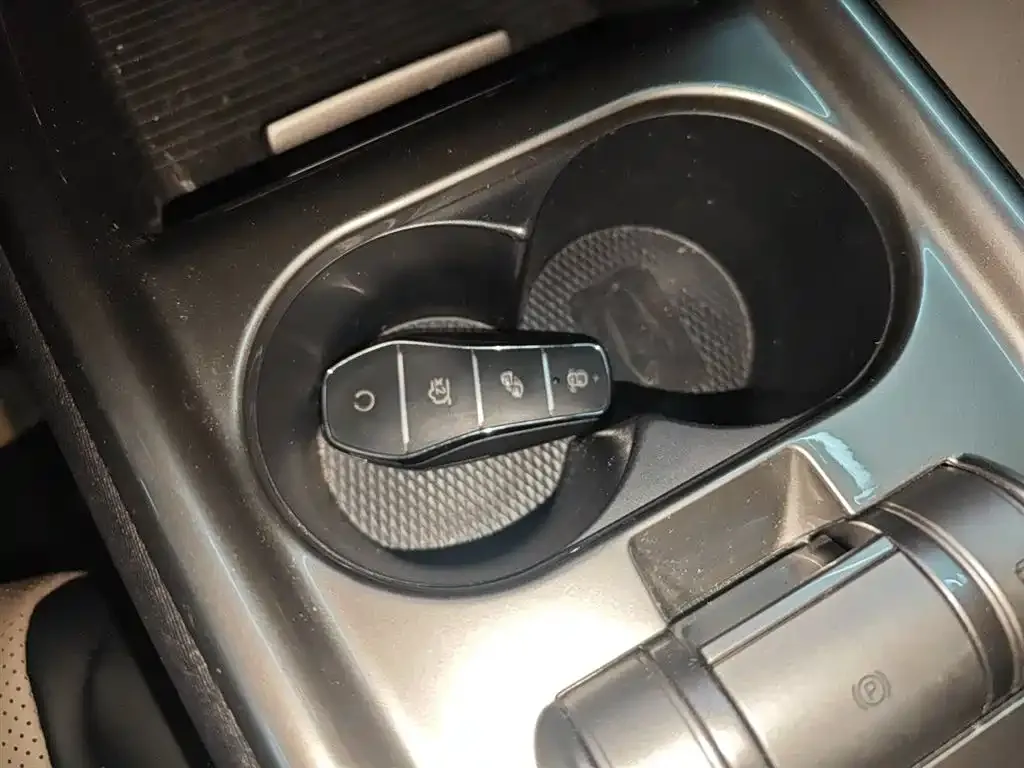 [object Object] Dolphin 2025 из CN, фото 9