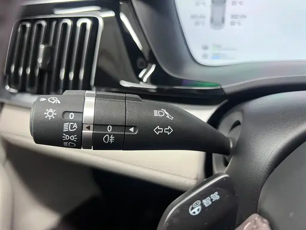 BYD PLUS New Energy 2025 из CN, фото 2