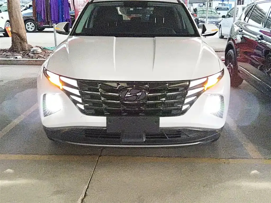 Hyundai Tucson 2021 из CN, фото 4