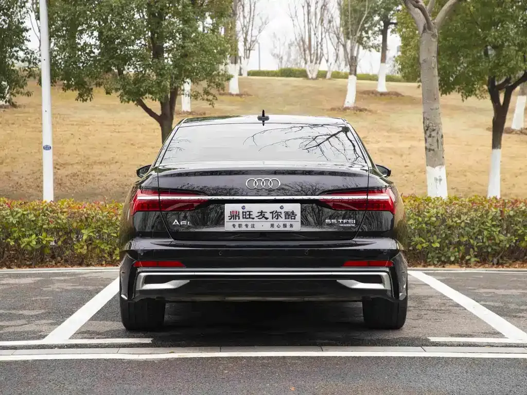 Audi A6L 2024 из CN, фото 9