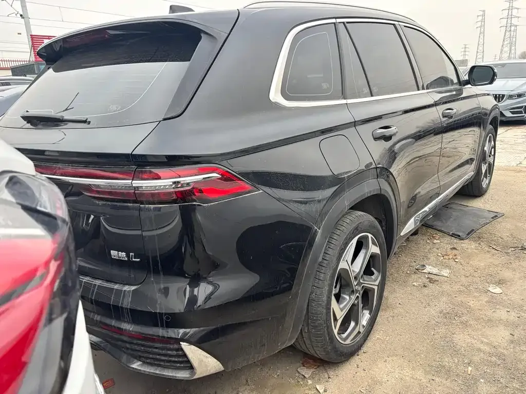 Geely Xingyue L 2024 из CN, фото 6