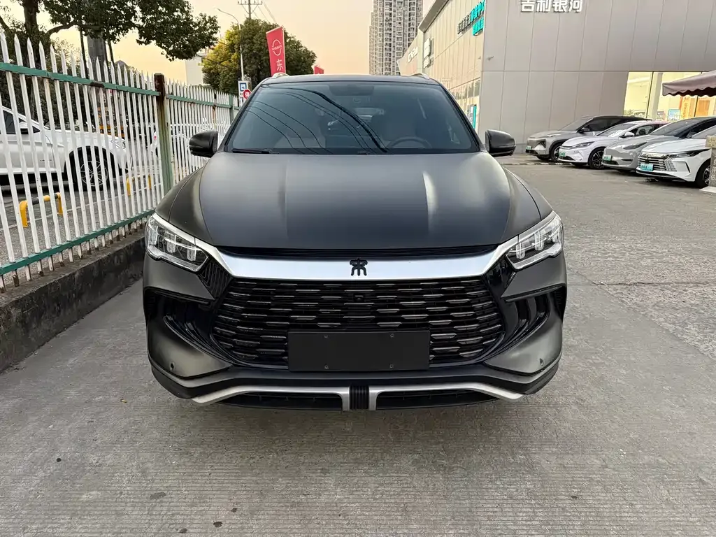 BYD Pro New Energy 2024 из CN, фото 1