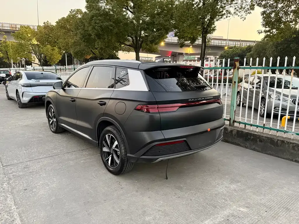 BYD Pro New Energy 2024 из CN, фото 6