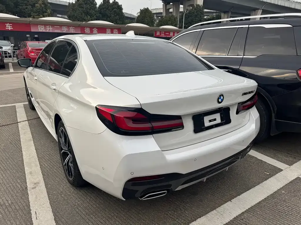 BMW 5 Series 2023 из CN, фото 9