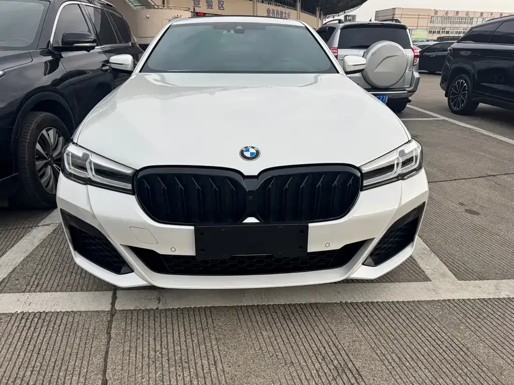BMW 5 Series 2023 из CN, фото 10