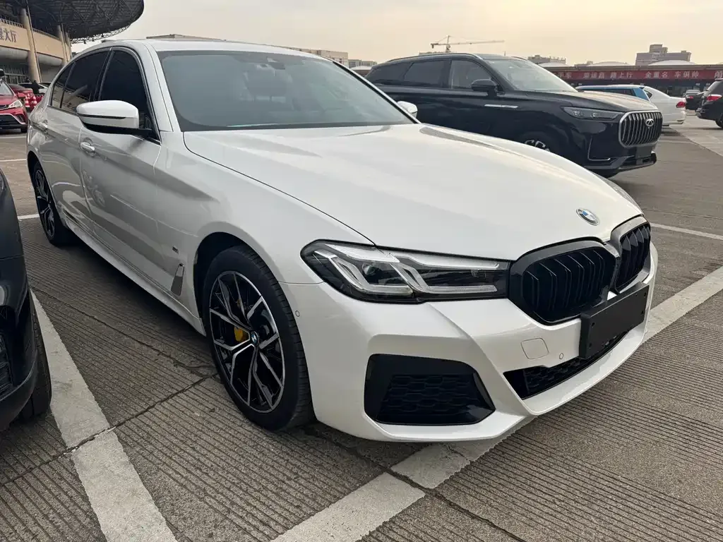 BMW 5 Series 2023 из CN, фото 5