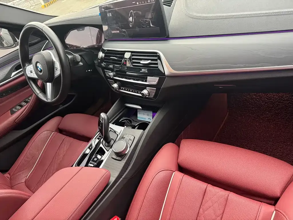 BMW 5 Series 2023 из CN, фото 7