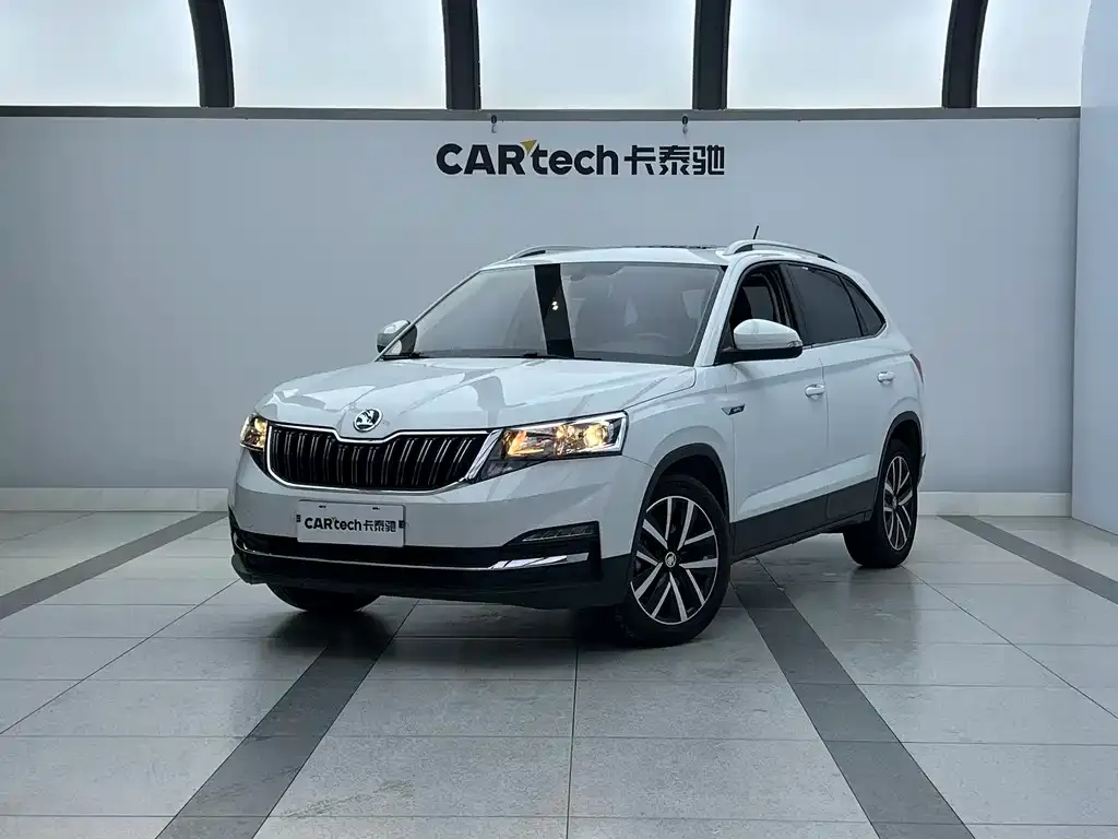 Skoda Kamiq 2024 из CN, фото 1