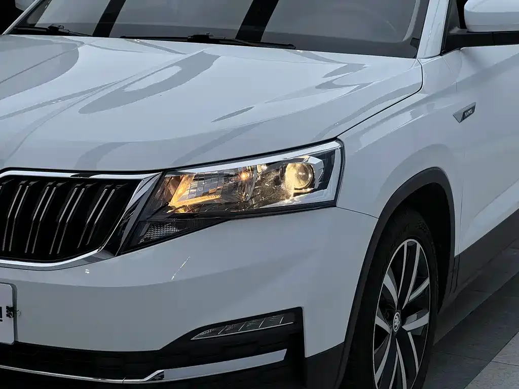 Skoda Kamiq 2024 из CN, фото 7