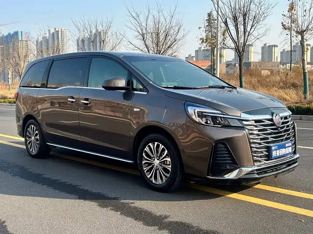 Buick GL8 2024 из CN, фото 9
