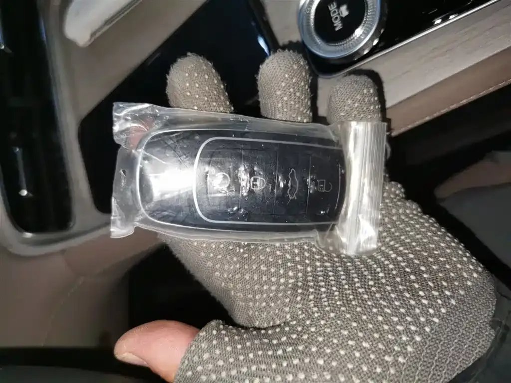 Chery Tiggo 8 PLUS C-DM 2024 из CN, фото 8