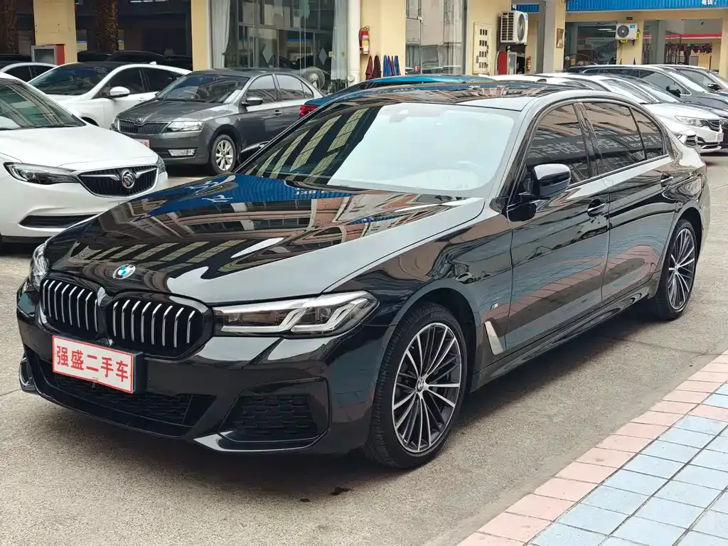 BMW 5 Series 2023 из CN, фото 1