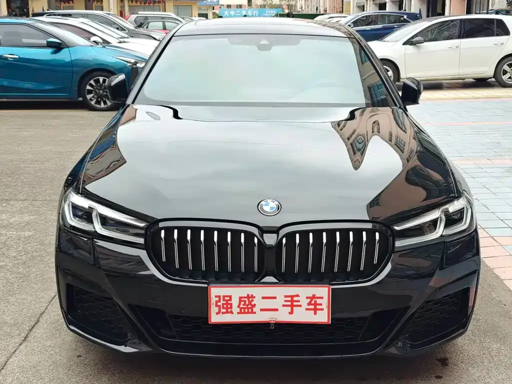 BMW 5 Series 2023 из CN, фото 4