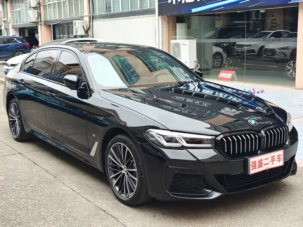 BMW 5 Series 2023 из CN, фото 9