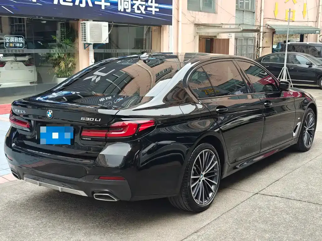 BMW 5 Series 2023 из CN, фото 5