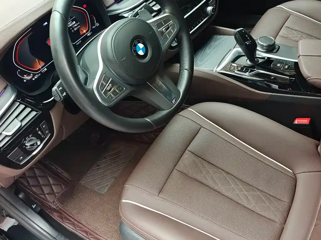 BMW 5 Series 2023 из CN, фото 7