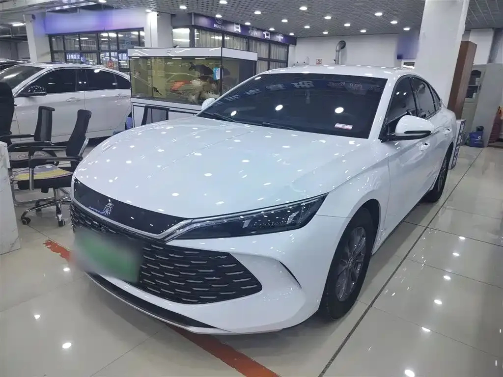 BYD Qin L 2024 из CN, фото 1