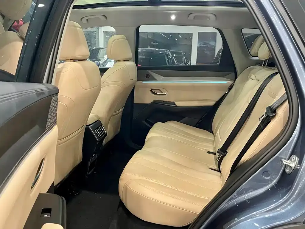 BYD Pro New Energy 2025 из CN, фото 8