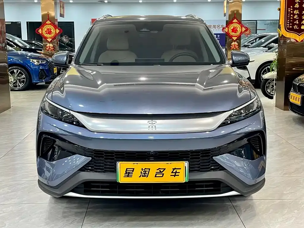 BYD Pro New Energy 2025 из CN, фото 9