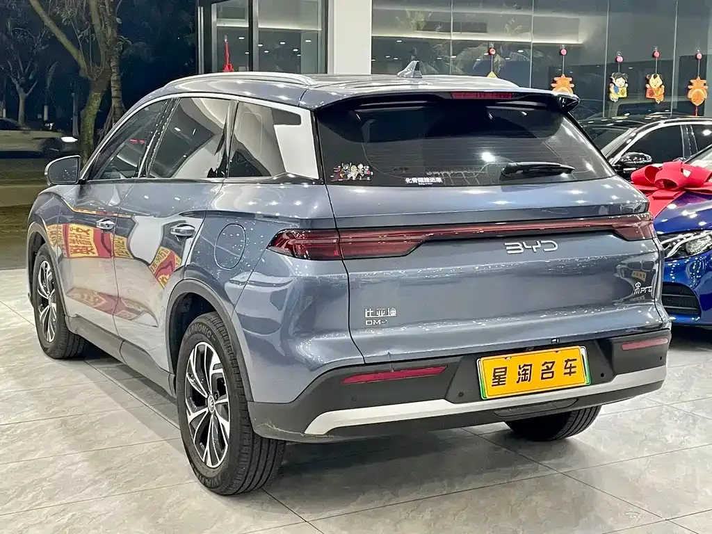BYD Pro New Energy 2025 из CN, фото 2
