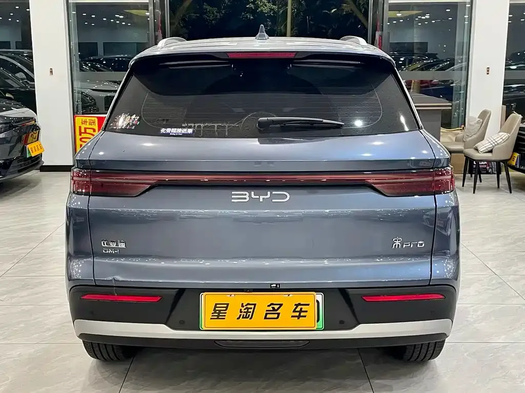 BYD Pro New Energy 2025 из CN, фото 4