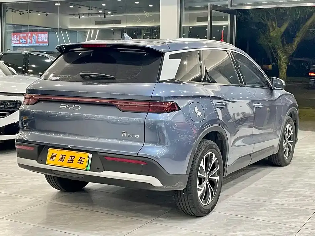 BYD Pro New Energy 2025 из CN, фото 10