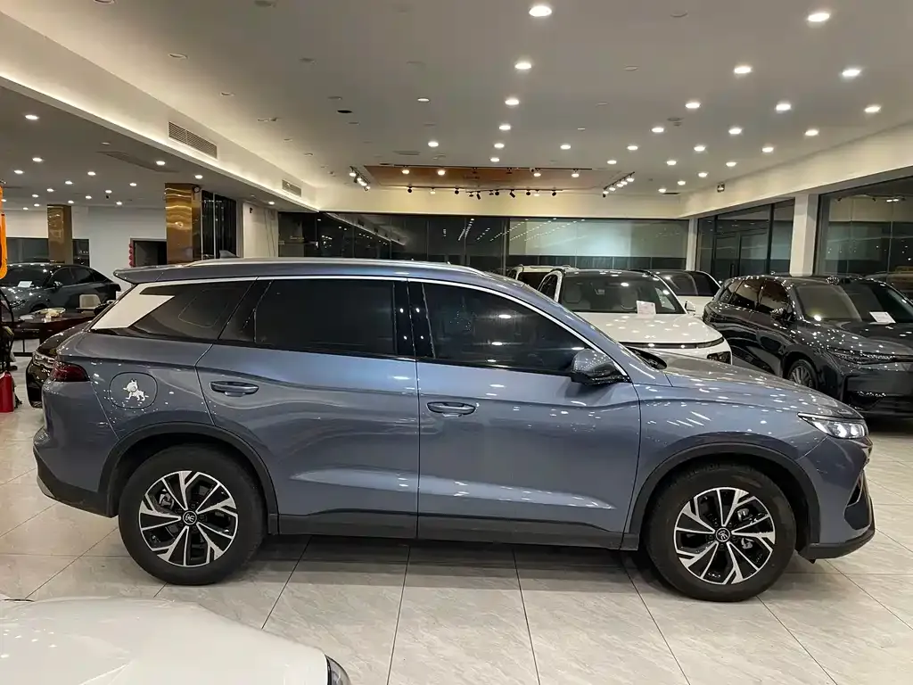 BYD Pro New Energy 2025 из CN, фото 3