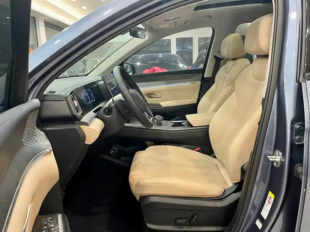 BYD Pro New Energy 2025 из CN, фото 7