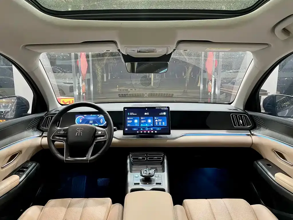 BYD Pro New Energy 2025 из CN, фото 5