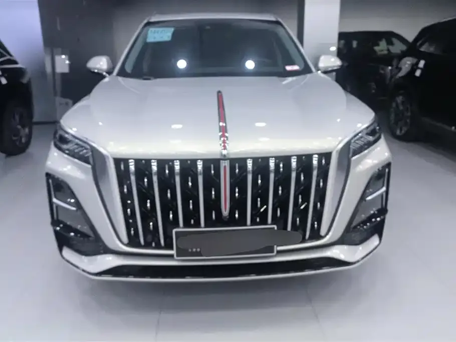 Hongqi HS5 2023 из CN, фото 10