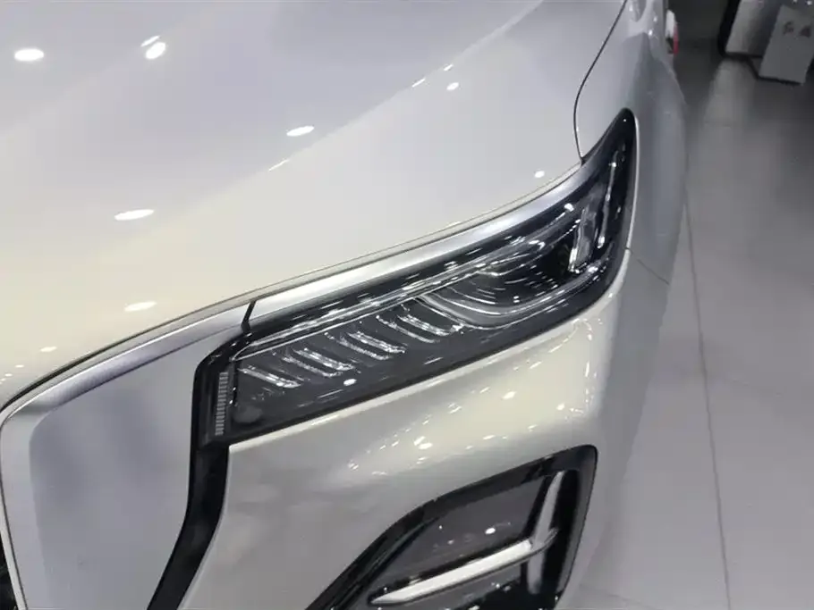 Hongqi HS5 2023 из CN, фото 2