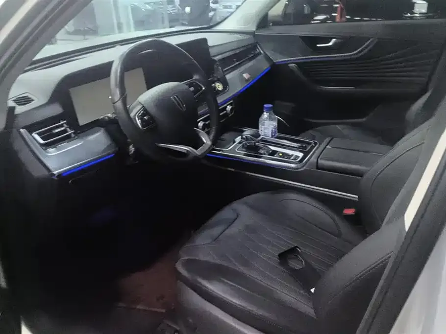 Hongqi HS5 2023 из CN, фото 6