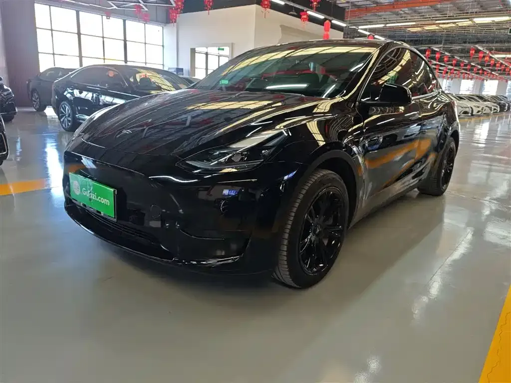 Tesla Model Y 2023 из CN, фото 2