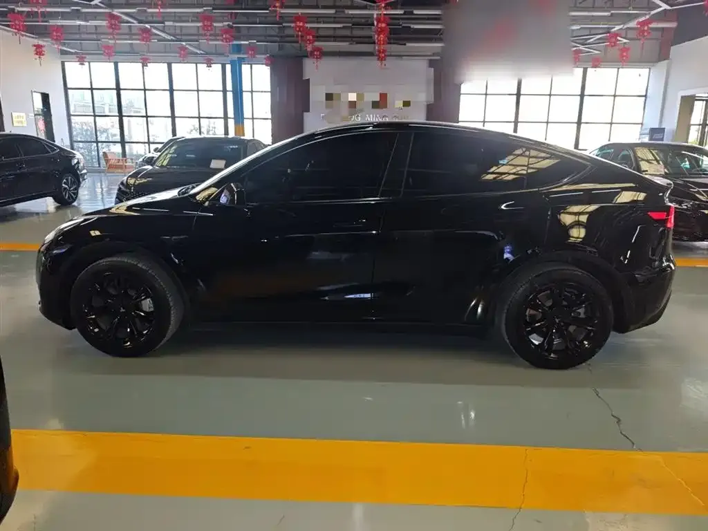 Tesla Model Y 2023 из CN, фото 5